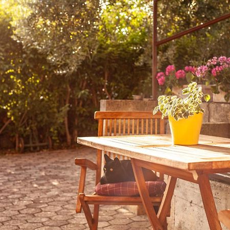 Apartment Borik Πούλα Εξωτερικό φωτογραφία