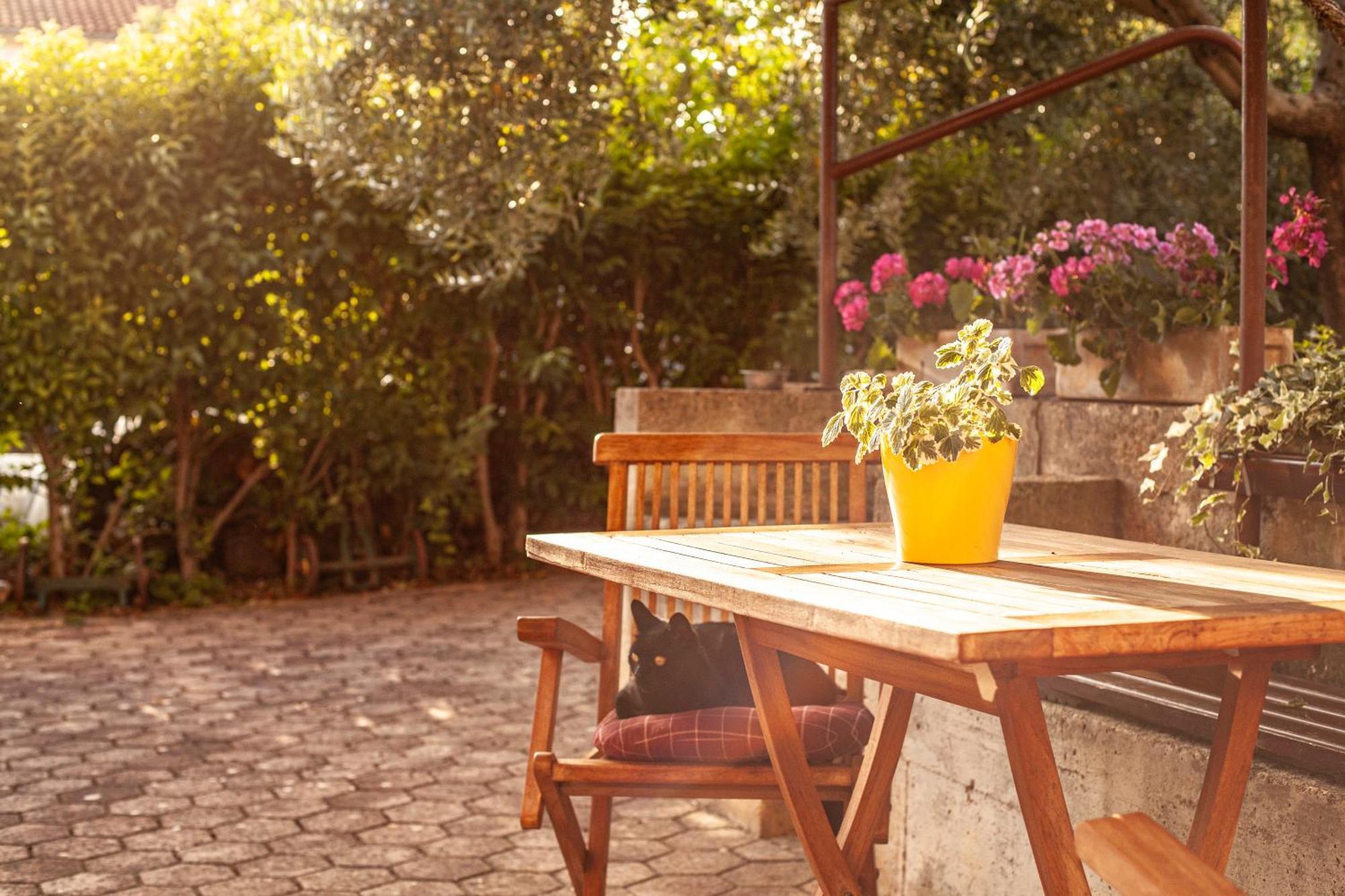 Apartment Borik Πούλα Εξωτερικό φωτογραφία