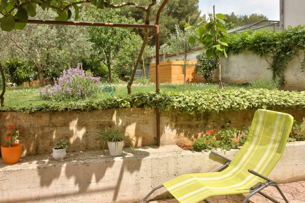 Apartment Borik Πούλα Εξωτερικό φωτογραφία